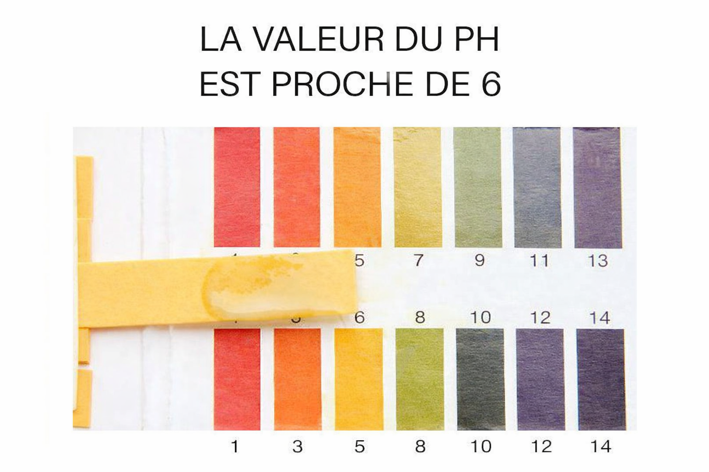 Crème au Curcuma – Hydratant Naturel Visage & Corps